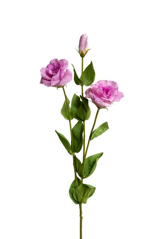 Eustoma (silicone)