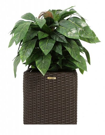 Croton Lake Cachepot Dekollete Rattan Cube 32