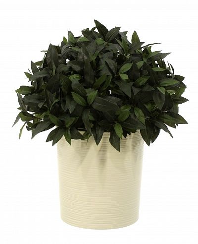 Laurel Corum Cachepot Dekollete Clasico 30 Eco