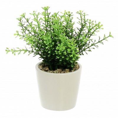 Heather Frisco Dekollete Piccolo 8 planter