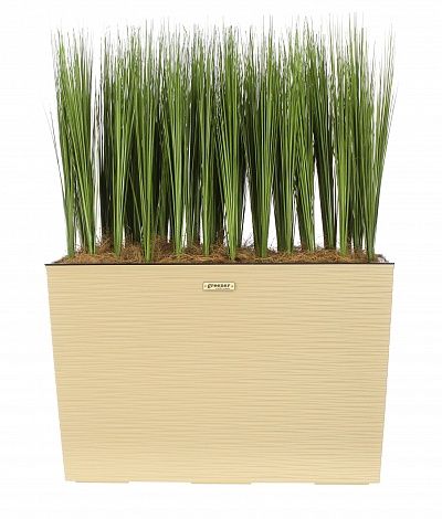 Sedge Harry cachepot Dekollete 36