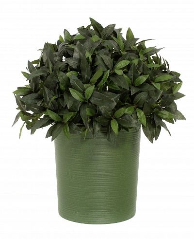 Laurel Corum Cachepot Dekollete Clasico 30 Eco