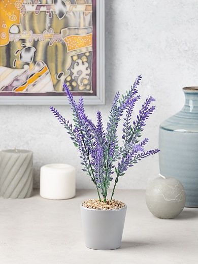 Lavender Sirt cachepot Dekollete Piccolo 8