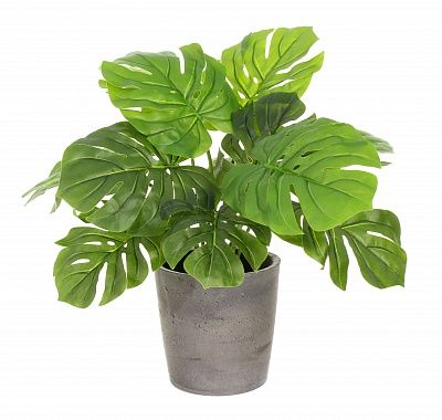 Monstera Moran Duo Cachepot Dekollete Concrete 17