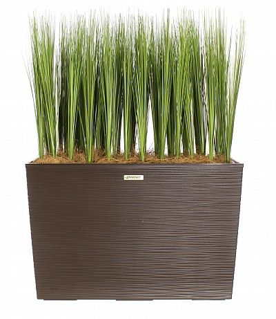 Sedge Harry cachepot Dekollete 36