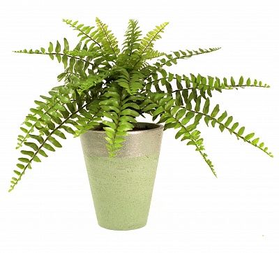 Fern Maun cachepot Dekollete Concrete 17