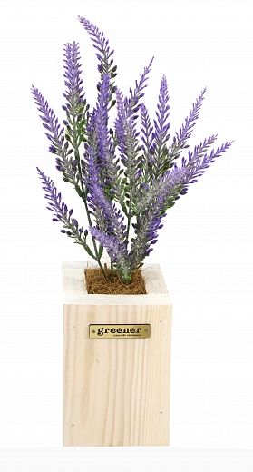 Lavender Sirt cachepot Dekollete Wood