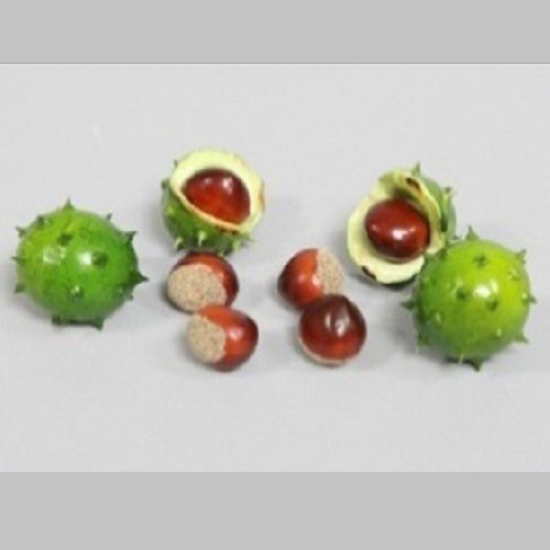 Chestnuts green 24 pcs assorted