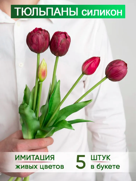 Tulips bouquet of 5 pcs.