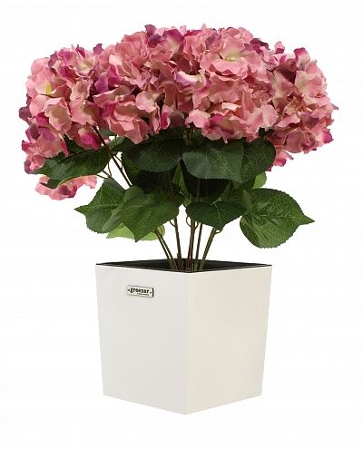 Hydrangea Retro Reilly Cachepot Dekollete Clasico 19