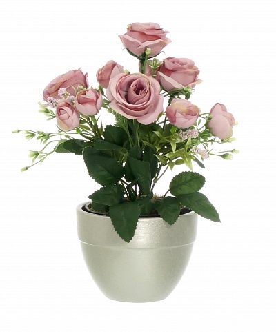 Rose Retro Planter Dekollete 12