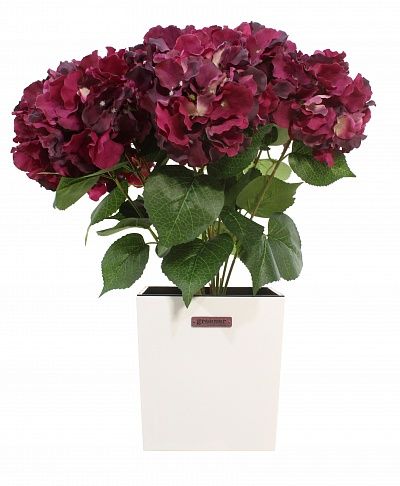 Hydrangea Retro Reilly Cachepot Dekollete Clasico 19