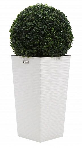 Orb Boxwood Camos Cachepot Dekollete Kuno 46