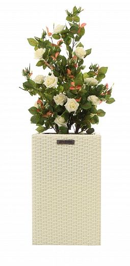 Rose Dustin Cachepot Dekollete Rattan Cube 50