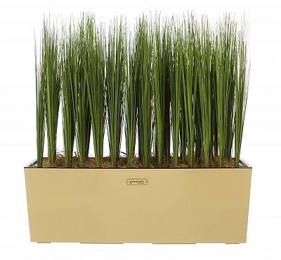 Sedge Harry cachepot Dekollete 19