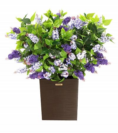 Lilac Chester Mini Cachepot Dekollete Clasico 30