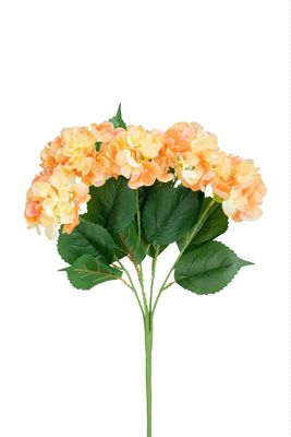 Hydrangea bush (5 inflorescences) - 11 colors