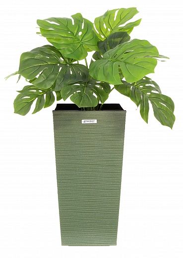 Monstera Moran Duo Cachepot Dekollete Kuno 46 Eco