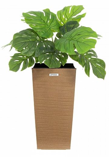 Monstera Moran Duo Cachepot Dekollete Kuno 46 Eco