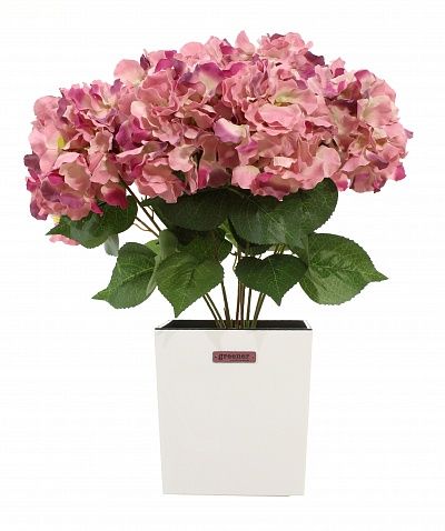 Hydrangea Retro Reilly Cachepot Dekollete Clasico 19