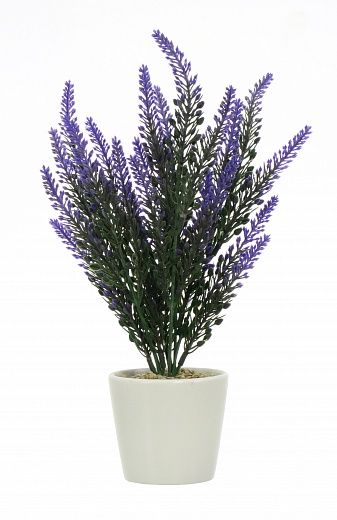 Lavender Sirt cachepot Dekollete Piccolo 8