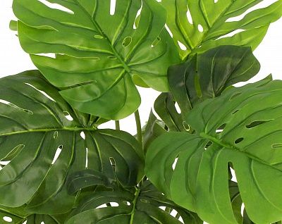 Monstera Moran Duo Cachepot Dekollete Concrete 17