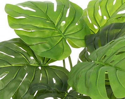 Monstera Moran Duo Cachepot Dekollete Gurido 20 color