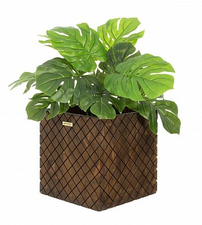 Monstera Moran Duo Cachepot Dekollete Gurido 20 color