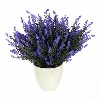 Lavender Cietta Cachepot Dekollete 12