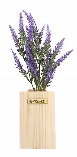 Lavender Sirt cachepot Dekollete Wood