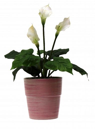 Calla Irby Cachepot Dekollete