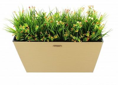 Dali sedge Dekollete 36