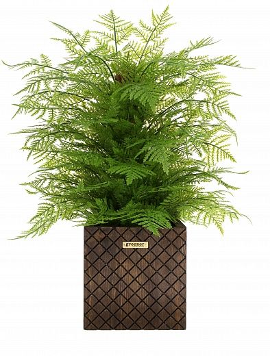 Fern Takai Cachepot Dekollete Gurido 20 color