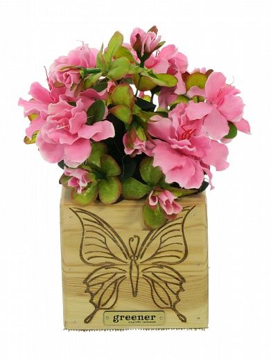 Composition azalea Toledo cachepot Dekollete Wood 12 available to order 1 piece