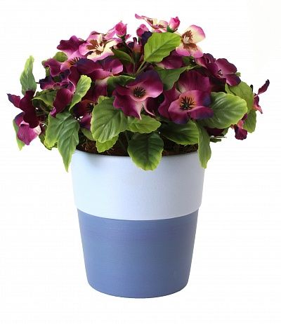 Pansies Sophie cachepot Dekollete Border 15