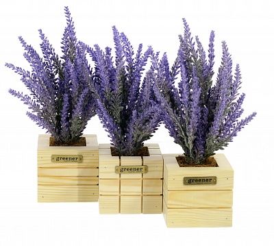 Lavender Sirt Dekollete Cube 10 planter