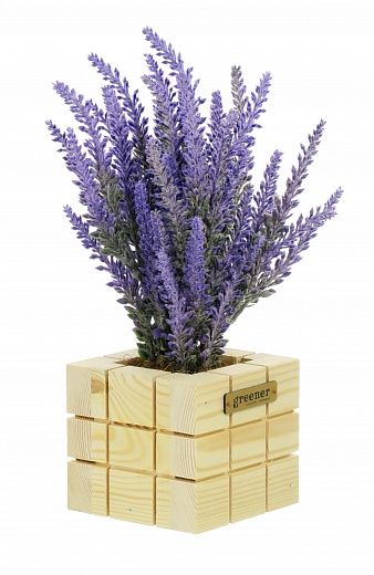 Lavender Sirt Dekollete Cube 10 planter