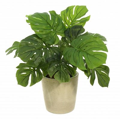 Monstera Moran Duo Cachepot Dekollete Concrete 17