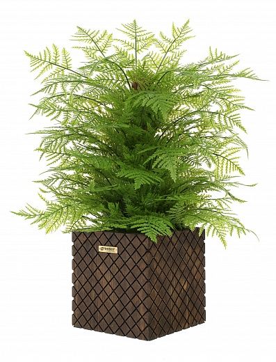 Fern Takai Cachepot Dekollete Gurido 20 color