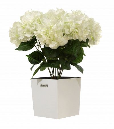 Hydrangea Retro Reilly Cachepot Dekollete Clasico 19