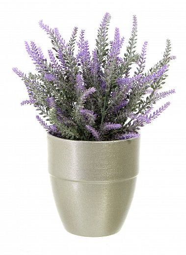 Lavender Sirt Cachepot Dekollete Silver Bort 12