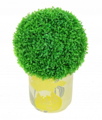 Boxwood Isleland Ball Composition available to order 1 piece