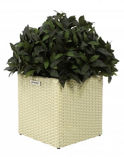 Laurel Corum Cachepot Dekollete Rattan Cube 32