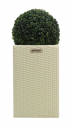 Boxwood Ball Camos Cachepot Dekollete Rattan Cube 50