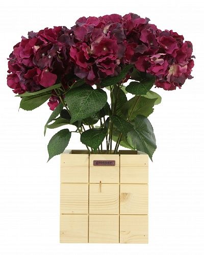 Hydrangea Retro Reilly Cachepot Dekollete Chess 20