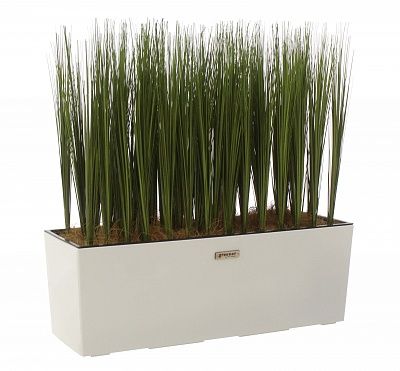 Sedge Harry cachepot Dekollete 19