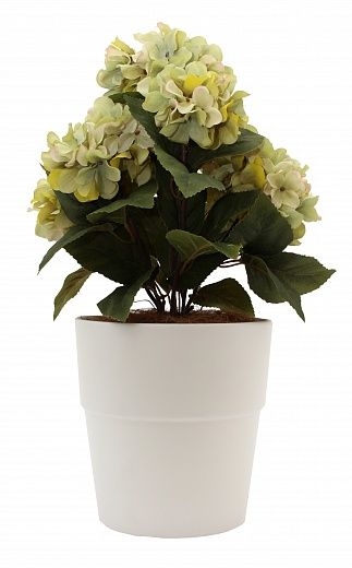 Hydrangea Retro Dinah Cachepot Dekollete Bort 22