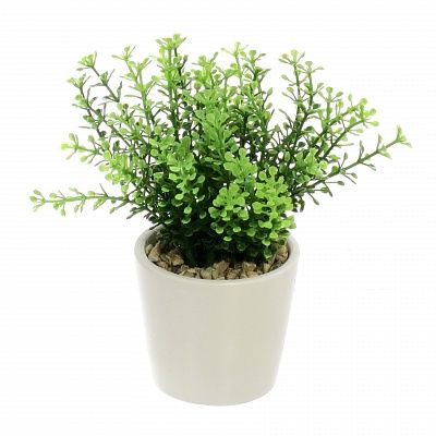 Heather Frisco Dekollete Piccolo 8 planter