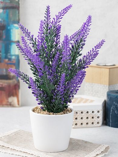 Lavender Sirt cachepot Dekollete Piccolo 8