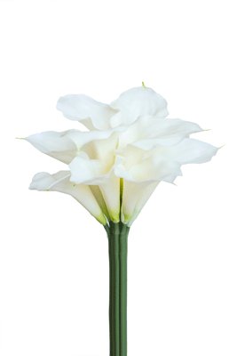 Calla bouquet, 11 pcs.